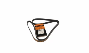 6PK 2010 6PK 2010 BELT