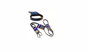 6PK 2545 6PK 2545 BELT