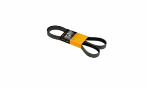 6PK 2550 6PK 2550 BELT