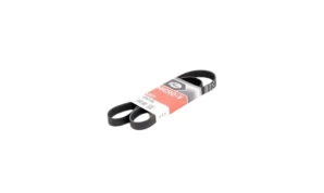 6PK1195 BELT 6PK1195
