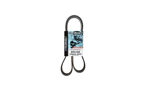 6PK1255 BELT 6PK1255