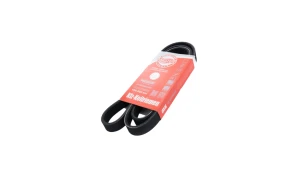 6PK1515 BELT 6PK1515