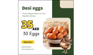 Desi Eggs