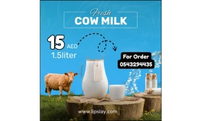 Cow Milk