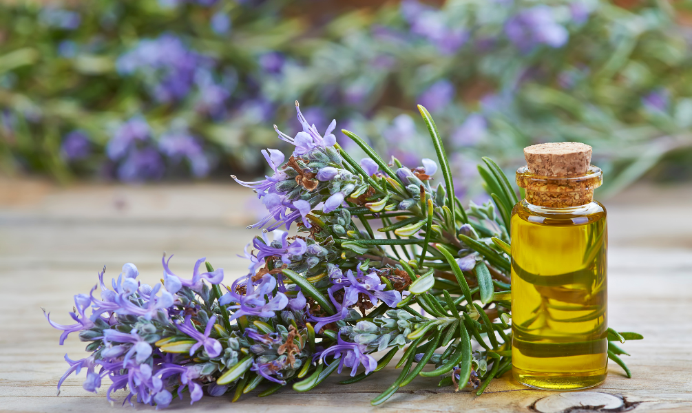 Rosemary Hair Oil