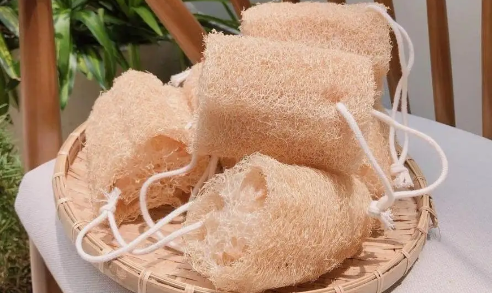 Disposable Loofah (Pack of 4)