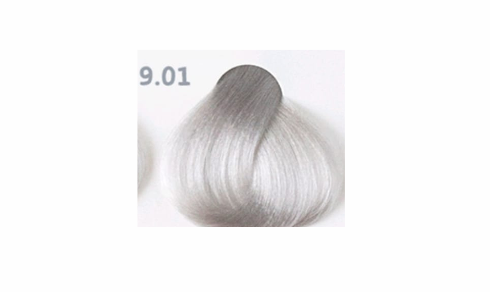 Very light Ash Blonde Intensive