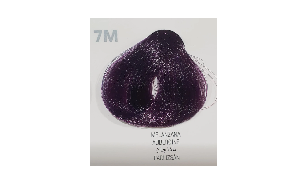Melanzana Aubergine